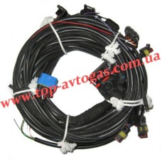 Проводка к блоку управления STAG-300 QMAX BASIC 6 цил, разъемы: тип Valtek, PS-04.